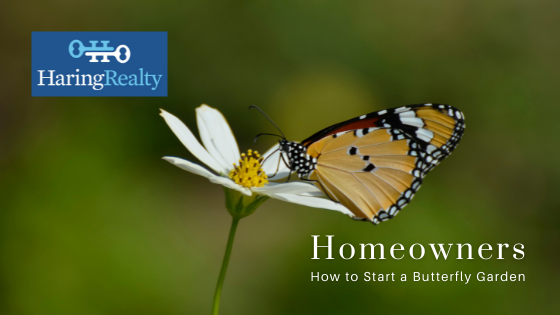 Butterfly Garden - Homeowners - Haring Realty