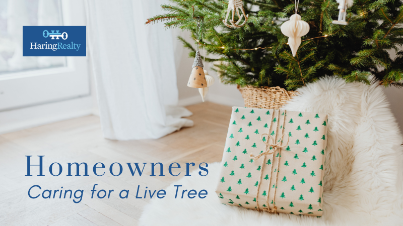 Caring for Your Christmas Tree - Bucyrus, OH, Homeowners | Haring Realty
