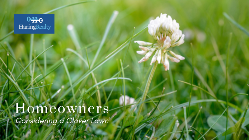 Clover Lawns - Homeownership - Haring Realty