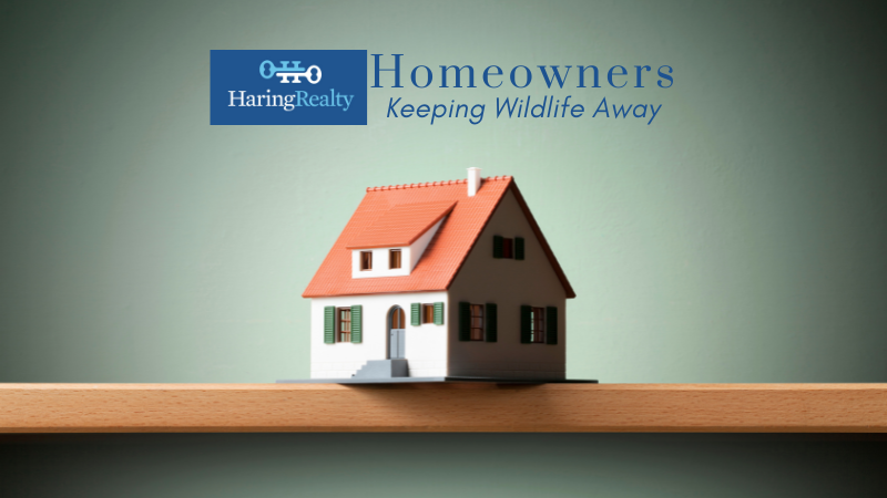 Keeping Wildlife Away - Homeowners - Haring Realty